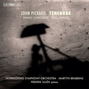 Download track 04. Sea-Change Pickard John