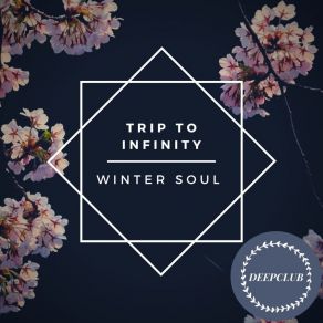 Download track Winter Soul Trip To Infinity