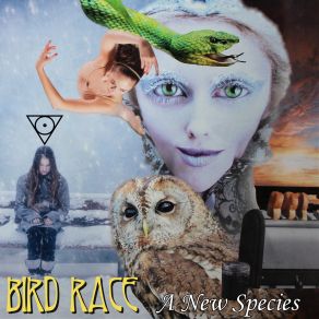 Download track Planck's Constant Angst Bird Race