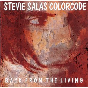 Download track Shake This Town Stevie Salas Colorcode