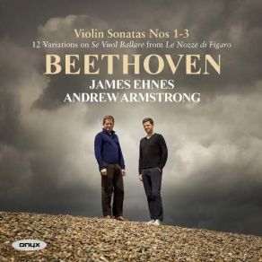 Download track 4. Violin Sonata No. 2 In A Major Op. 122 - I. Allegro Vivace Ludwig Van Beethoven