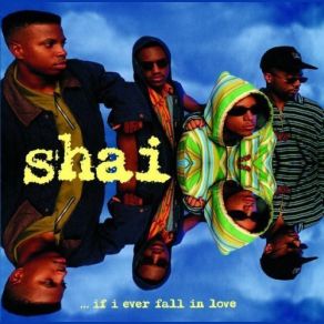 Download track If I Ever Fall In Love (Remix) Shai