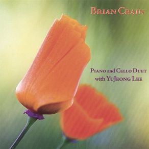 Download track Northern Sky Brian Crain