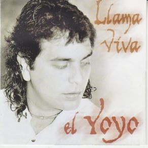 Download track Buscando Algún Lugar (Bulerías) El Yoyo