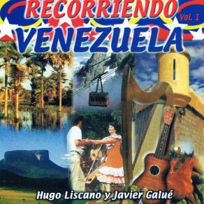 Download track Pasaje Del Olvido (Instrumental) Hugo Liscano And Javier Galue