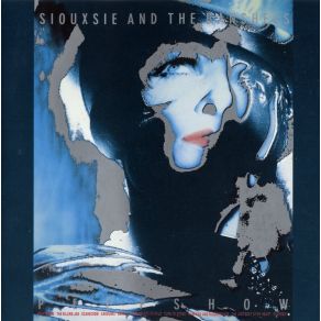 Download track Turn To Stone Siouxsie, The Banshees