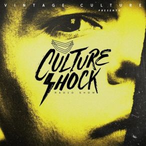 Download track Culture Shock (Intro) Vintage Culture