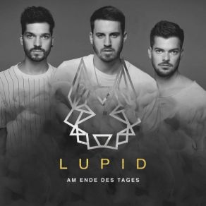 Download track Am Ende Des Tages LupidMajoe