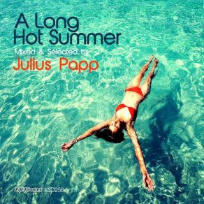 Download track A Long Hot Summer Mixed & Selected (Continuous Mix) Julius Papp