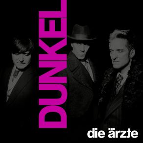 Download track Our Bass Player Hates This Song Die Ärzte