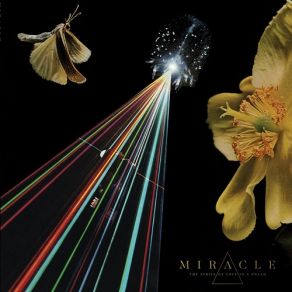Download track The Parsifal Gate The Miracle