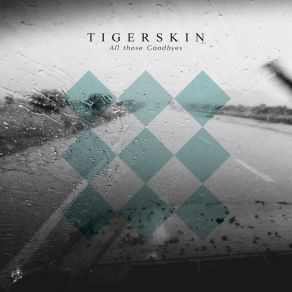 Download track This Place Is Empty Without You (Dub) Tigerskin