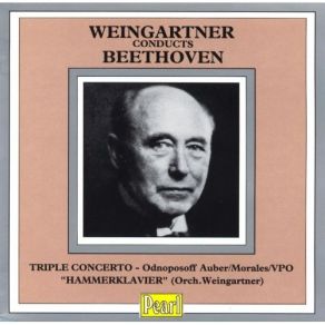Download track 6. Sonata No. 29 In B Flat Major Op. 106 «Hammerklavier»: 2. Adagio Sostenuto Ludwig Van Beethoven