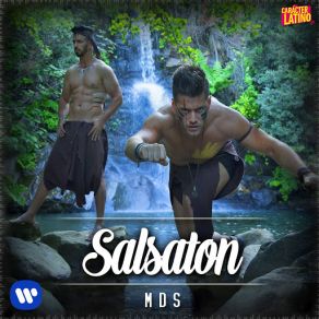 Download track Salsaton MDS