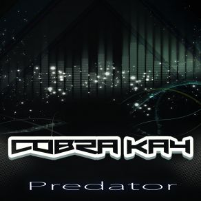 Download track Acceleration Original Mix Cobra Kay