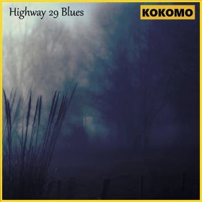 Download track Highway 29 Blues (Acoustic) Kokomo