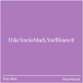 Download track I Like You So Much, You'll Know It Moon Cover
