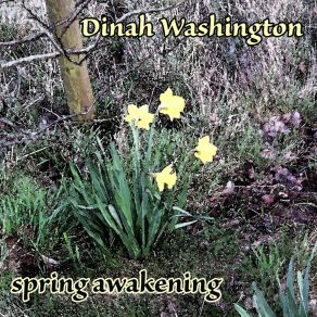 Download track There'll Be A Jubilee Dinah Washington