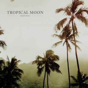 Download track Tropical Moon Antonio Suarez