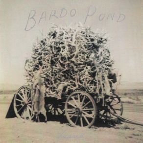 Download track Flux Bardo Pond
