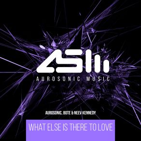 Download track What Else Is There To Love (Extended Mix) Neev Kennedy, Aurosonic, Bote, Aurosonic Bote