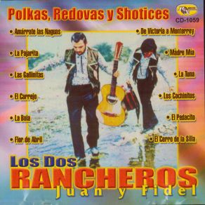 Download track El Cerro De La Silla Los Dos Rancheros