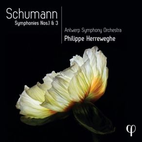 Download track 06 - Symphony No. 3 In E-Flat Major, Op. 97 ''Rhenish''- II. Scherzo. Sehr Mäßig Robert Schumann