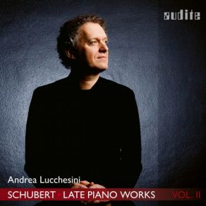 Download track Piano Sonata No. 21 In B-Flat Major, D. 960: III. Scherzo. Allegro Vivace Con Delicatezza - Trio Andrea Lucchesini