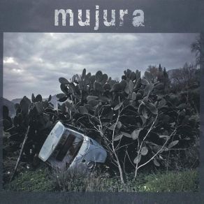 Download track Amir Mujura