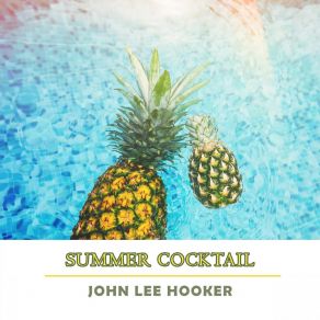 Download track Women And Money John Lee Hooker