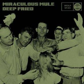 Download track Run On Miraculous Mule