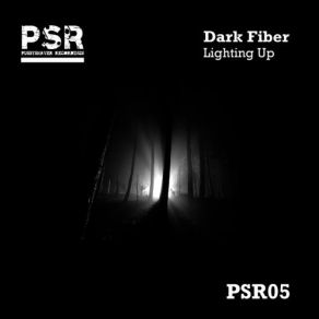 Download track Gateway (Original Mix) Dark Fiber