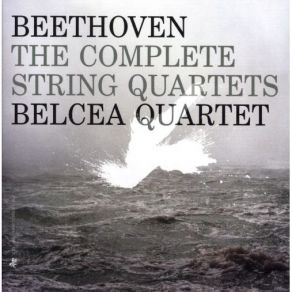 Download track 09. String Quartet No. 13 In B-Flat Major, Op. 130 V. Cavatina, Adagio Molto Espressivo Ludwig Van Beethoven