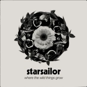 Download track Last Shot Starsailor