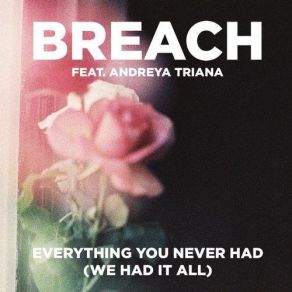 Download track Everything You Never Had (We Had It All) (Extended Club Version) Andreya Triana, Breach