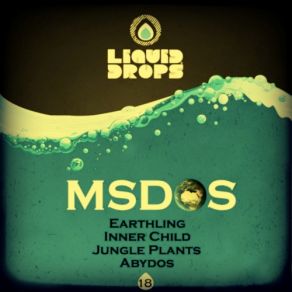 Download track Earthling Msdos
