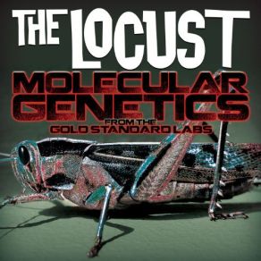 Download track Flashs Theme The Locust