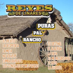 Download track La Meta Reyes De Linares