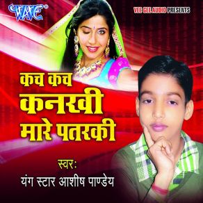 Download track Tani Lahanga Uthada Tabe Jila Hili Aashish Pandey