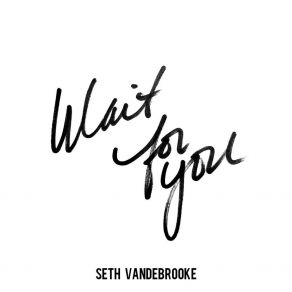 Download track Wait For You Seth Vandebrooke