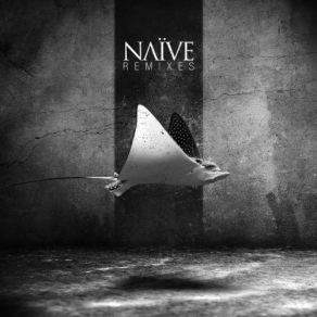 Download track Belly Naive