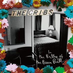 Download track Eat Me The Cribs