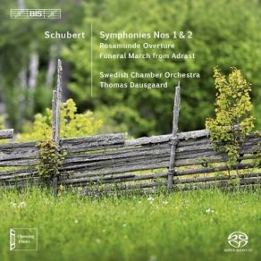 Download track 01 - Symphony No. 1 In D Major, D 82 (1813) - I. Adagio - Allegro Vivace Franz Schubert