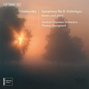 Download track 04 - Symphony No. 6 In B Minor 'Pathétique', Op. 74 (1893) - IV. Adagio Lamentoso Piotr Illitch Tchaïkovsky