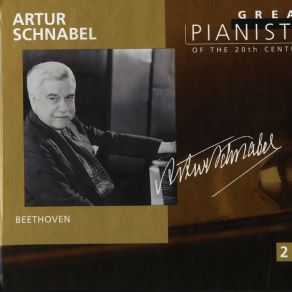 Download track Beethoven - 33 Variations On A Waltz By Anton Diabelli In C. Op. 120 - Variation 9. Allegro Pesante E Risoluto Ludwig Van Beethoven