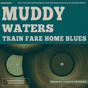 Download track I Done Got Wise Muddy Waters