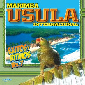 Download track Toda Una Vida Marimba Usula Internacional