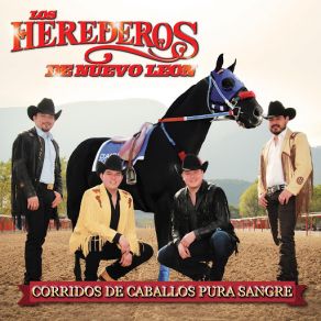 Download track La Araña De Zacatecas Los Herederos De Nuevo León