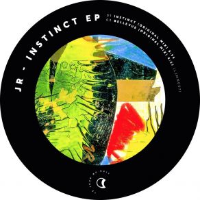 Download track Instinct (Original Mix) JR