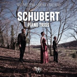 Download track Piano Trio No. 1 In B-Flat Major, Op. 99, D. 898: III. Scherzo, Allegro Franco Mezzena, Elena Ballario, Sergio Patria